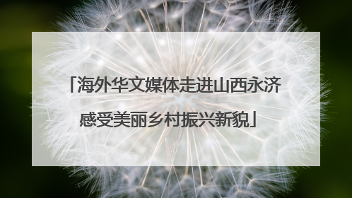 海外华文媒体走进山西永济 感受美丽乡村振兴新貌