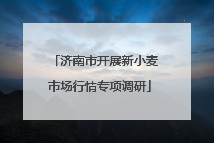 济南市开展新小麦市场行情专项调研