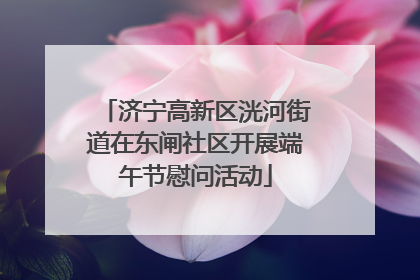 济宁高新区洸河街道在东闸社区开展端午节慰问活动
