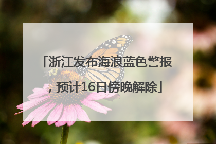 浙江发布海浪蓝色警报，预计16日傍晚解除