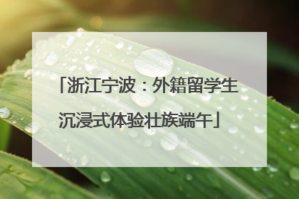 浙江宁波：外籍留学生沉浸式体验壮族端午