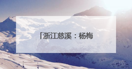 浙江慈溪：杨梅之乡开启丰收季
