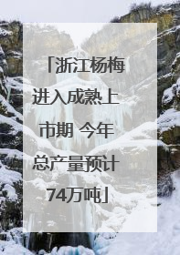 浙江杨梅进入成熟上市期 今年总产量预计74万吨