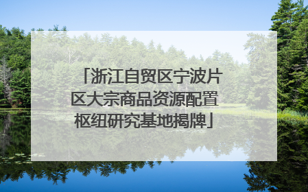 浙江自贸区宁波片区大宗商品资源配置枢纽研究基地揭牌
