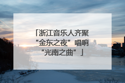 浙江音乐人齐聚“金东之夜”唱响“光南之曲”