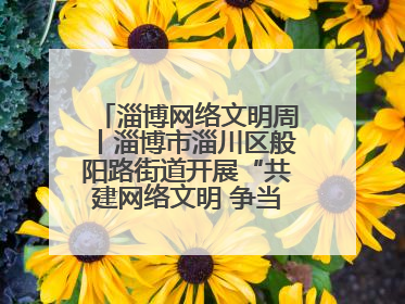 淄博网络文明周丨淄博市淄川区般阳路街道开展“共建网络文明 争当般阳好网民”主题宣讲活动
