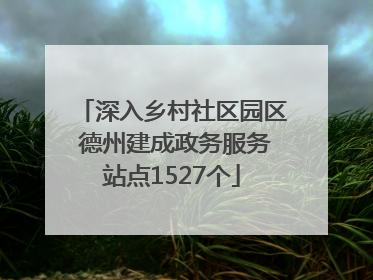 深入乡村社区园区 德州建成政务服务站点1527个