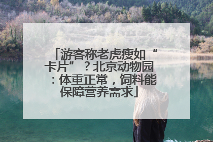 游客称老虎瘦如“卡片”？北京动物园：体重正常，饲料能保障营养需求