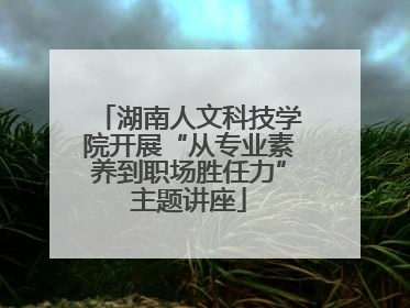 湖南人文科技学院开展“从专业素养到职场胜任力”主题讲座