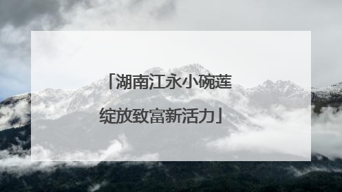 湖南江永小碗莲绽放致富新活力