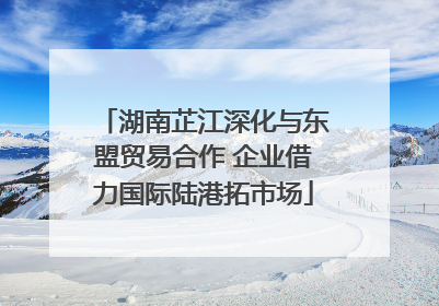 湖南芷江深化与东盟贸易合作 企业借力国际陆港拓市场