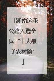 湖南这条公路入选全国“十大最美农村路”