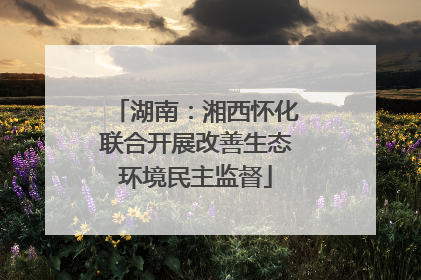 湖南：湘西怀化联合开展改善生态环境民主监督