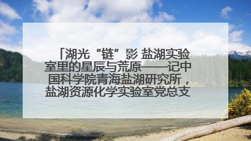 湖光“链”影 盐湖实验室里的星辰与荒原——记中国科学院青海盐湖研究所，盐湖资源化学实验室党总支书记、副主任刘忠