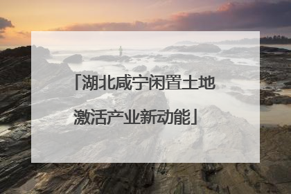 湖北咸宁闲置土地激活产业新动能