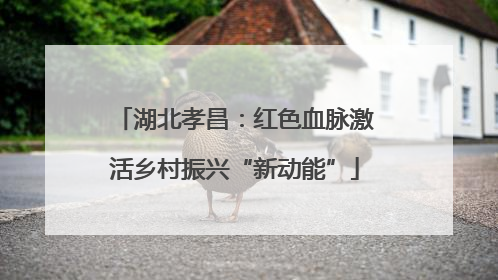 湖北孝昌：红色血脉激活乡村振兴“新动能”