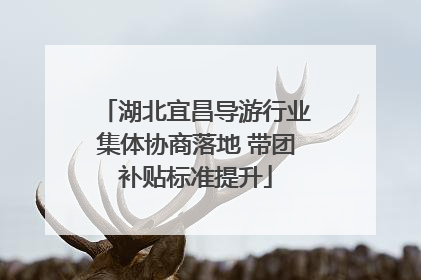 湖北宜昌导游行业集体协商落地 带团补贴标准提升