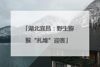 湖北宜昌：野生猕猴“扎堆”迎客