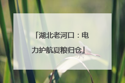湖北老河口：电力护航夏粮归仓
