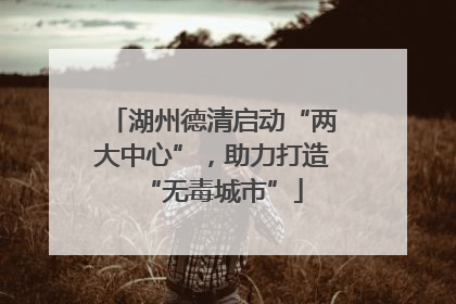 湖州德清启动“两大中心”，助力打造“无毒城市”