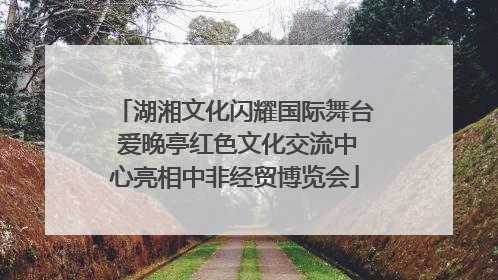 湖湘文化闪耀国际舞台 爱晚亭红色文化交流中心亮相中非经贸博览会