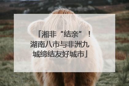 湘非“结亲”！湖南八市与非洲九城缔结友好城市
