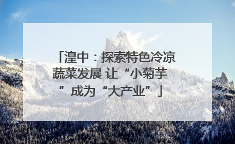 湟中：探索特色冷凉蔬菜发展 让“小菊芋”成为“大产业”