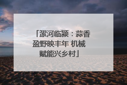 漯河临颍：蒜香盈野映丰年 机械赋能兴乡村