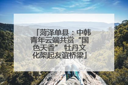 菏泽单县：中韩青年云端共赏“国色天香” 牡丹文化架起友谊桥梁