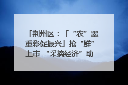 荆州区：「“农”墨重彩促振兴」抢“鲜”上市 “采摘经济”助农“甜蜜增收”