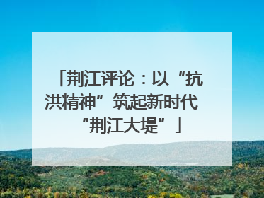 荆江评论：以“抗洪精神”筑起新时代“荆江大堤”