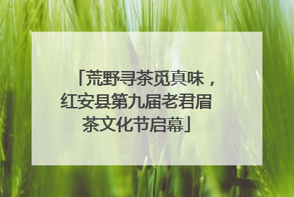 荒野寻茶觅真味，红安县第九届老君眉茶文化节启幕