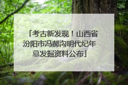 考古新发现！山西省汾阳市冯郝沟明代纪年墓发掘资料公布