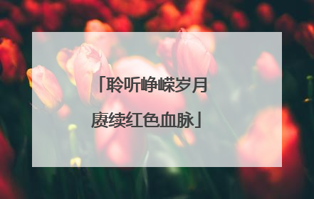 聆听峥嵘岁月 赓续红色血脉