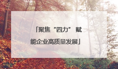聚焦“四力” 赋能企业高质量发展