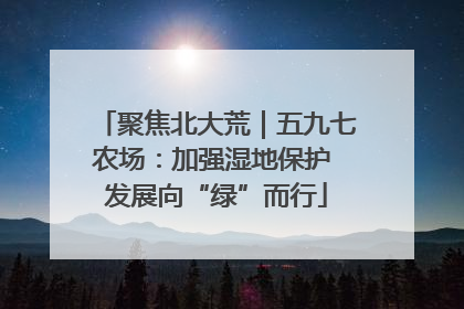 聚焦北大荒｜五九七农场：加强湿地保护 发展向“绿”而行