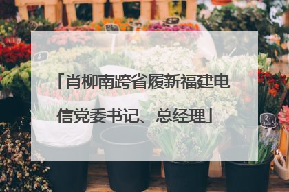 肖柳南跨省履新福建电信党委书记、总经理