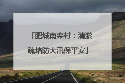 肥城南栾村：清淤疏堵防大汛保平安