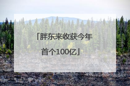 胖东来收获今年首个100亿
