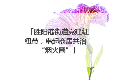 胜阳港街道党建红纽带，串起商居共治 “烟火圈”