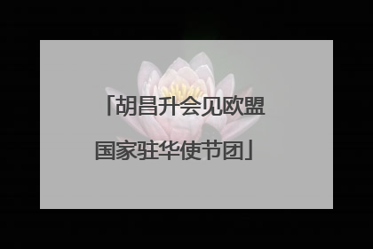 胡昌升会见欧盟国家驻华使节团