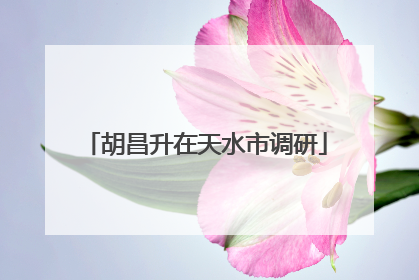 胡昌升在天水市调研