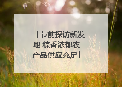 节前探访新发地 粽香浓郁农产品供应充足