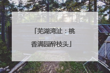 芜湖湾沚：桃香满园醉枝头