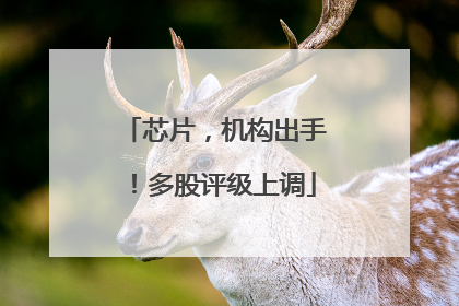 芯片，机构出手！多股评级上调