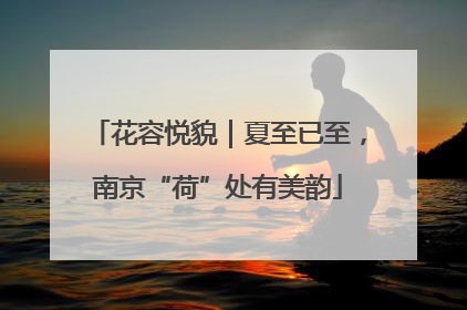 花容悦貌｜夏至已至，南京“荷”处有美韵