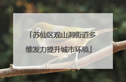 苏仙区观山洞街道多维发力提升城市环境