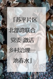 苏平片区北部湾联合党委 激活乡村治理一池春水