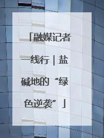 融媒记者一线行｜盐碱地的“绿色逆袭”