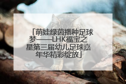 萌娃绿茵播种足球梦——LHK福宝之星第三届幼儿足球嘉年华精彩绽放